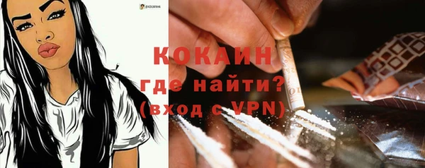 мет Ладушкин