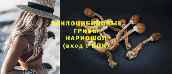 гидра Абаза