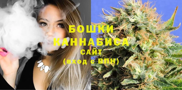 гидра Абаза