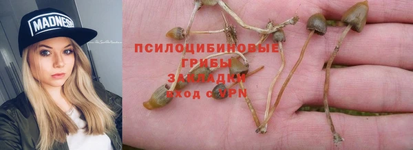 гидра Абаза