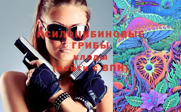хмурый Абинск