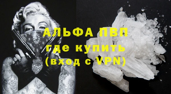 гидра Абаза