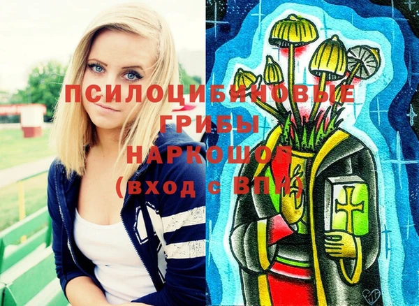гидра Абаза