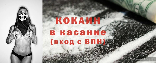 гидра Абаза